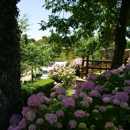 Kamp alanı Wecamp San Sebastián