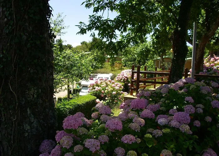 Campsite Wecamp San Sebastian